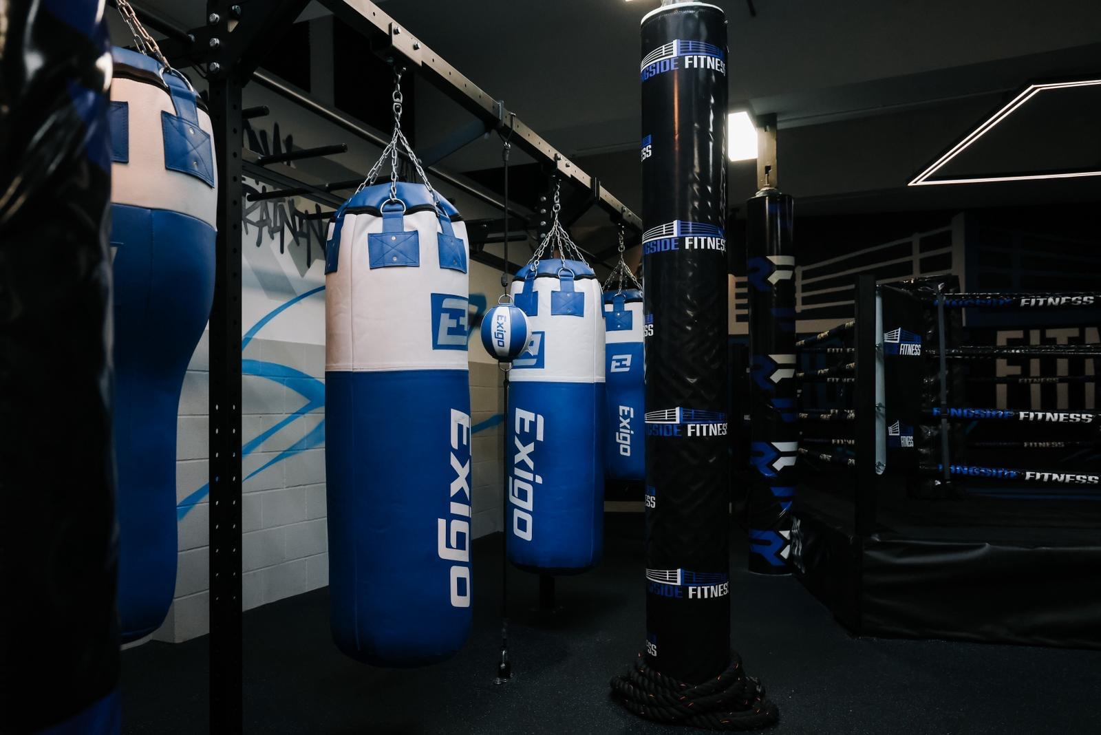 Row of punch bags hanging from the rig at Ringside Fitness