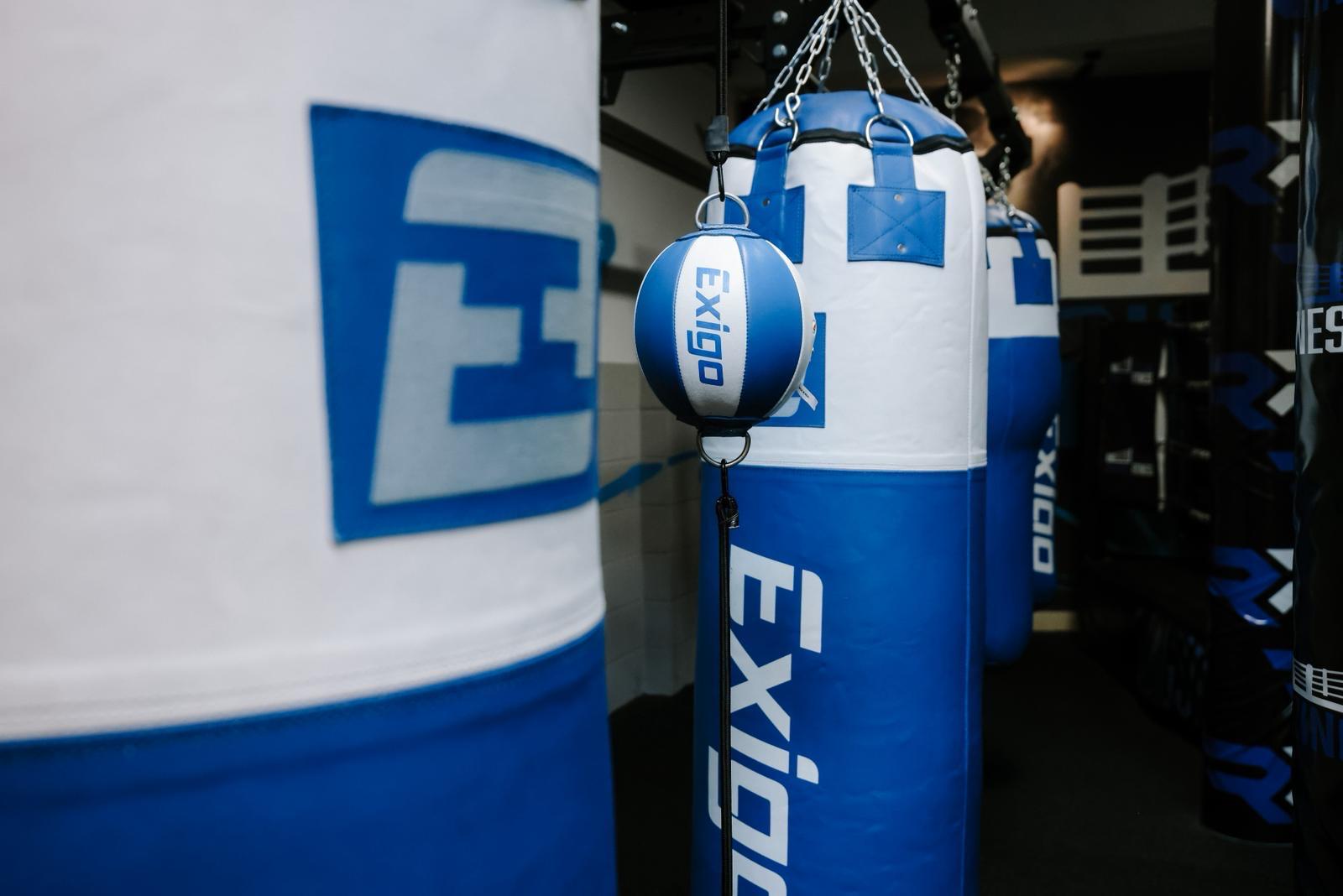 Close-up of a punch bag and speed ball at Ringside Fitness